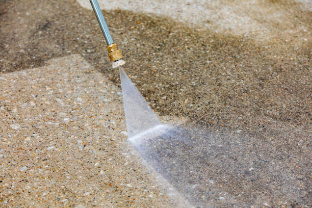 Best Driveway Pressure Washing  in Chester Gap, VA